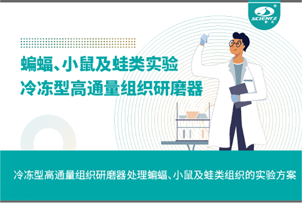 冷凍型高通量組織研磨器處理蝙蝠、小鼠及蛙類組織的實驗方案