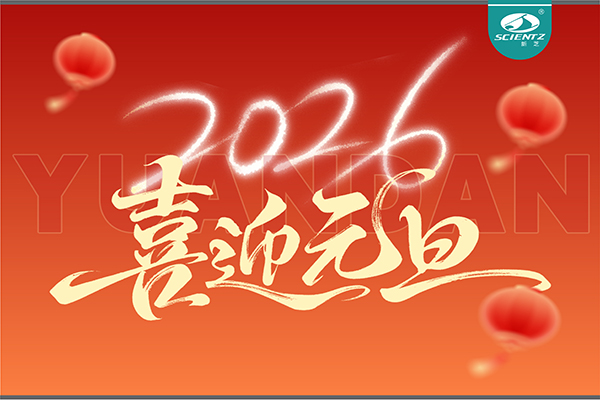 董事長周芳女士新年獻詞：心有定力，沐光而行